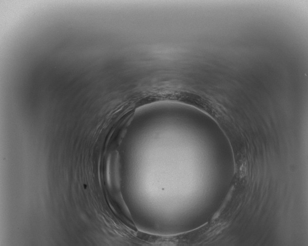 X0000068321156200604281754