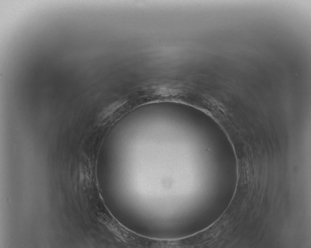 X0000068321158200604281754