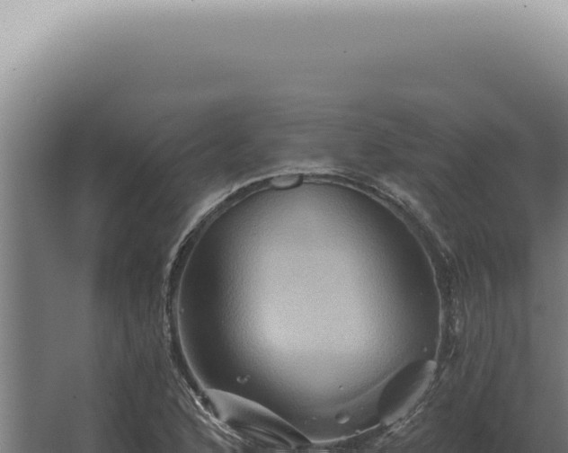 X0000068321168200604281754