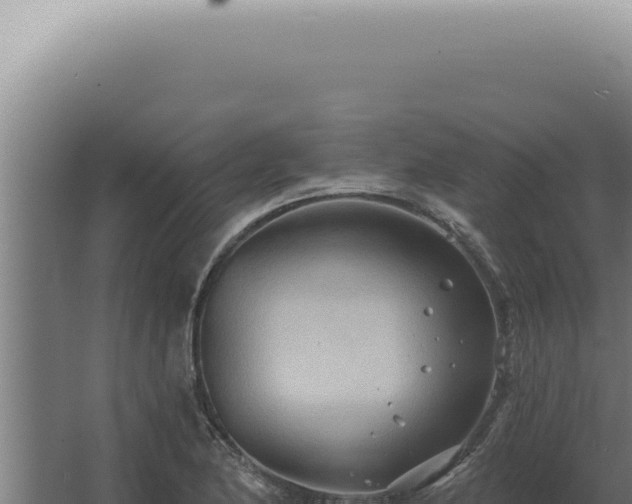 X0000068321174200604281754