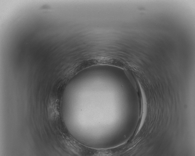 X0000068321346200604281751