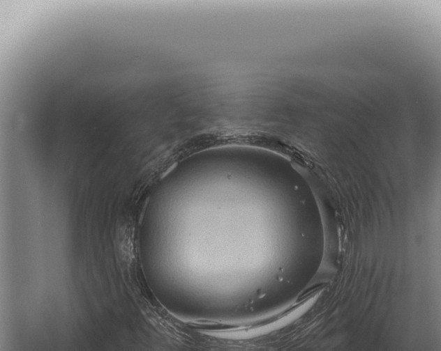 X0000068321348200604281751