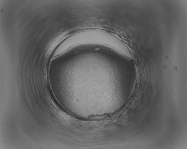 X0000068320005200605051608