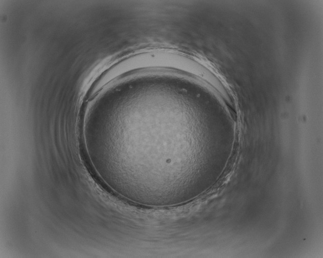 X0000068320007200605051608