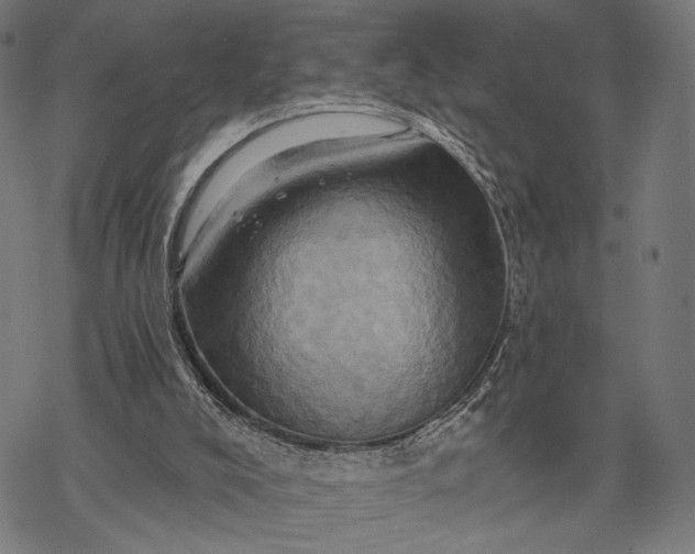 X0000068320008200605051608