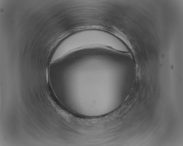 X0000068320013200605051608