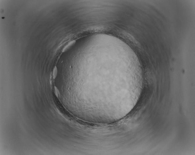 X0000068320024200605051608