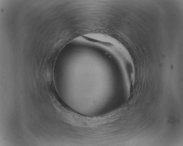 X0000068320039200605051608