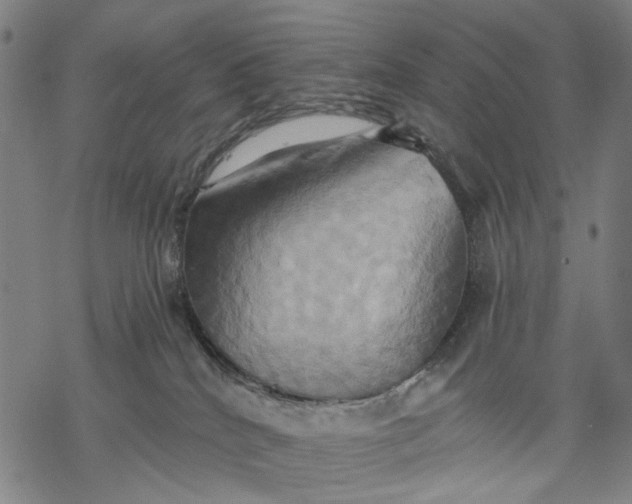 X0000068320040200605051608