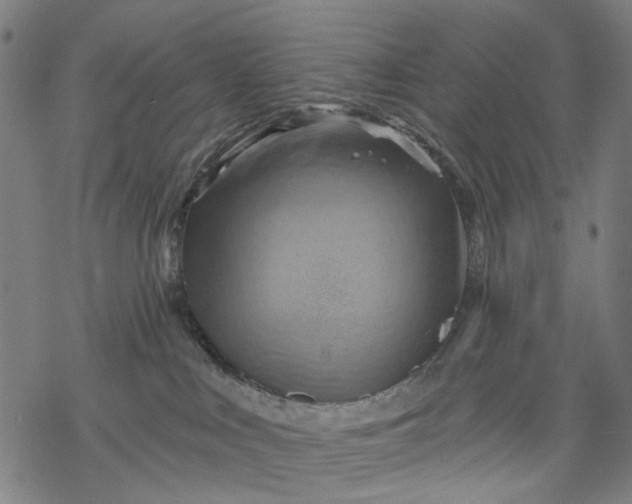X0000068320043200605051608