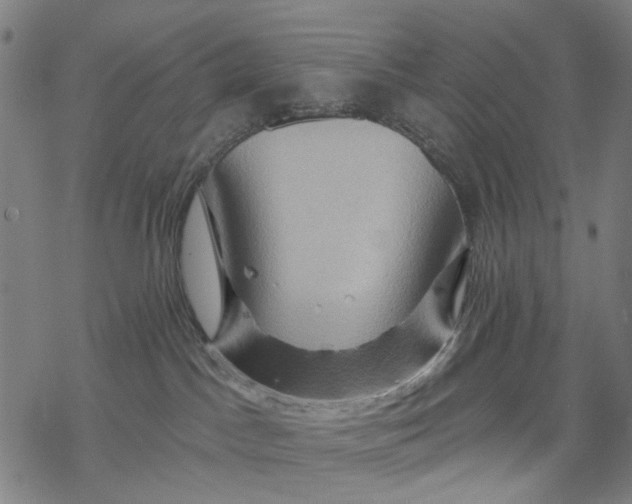 X0000068320045200605051607