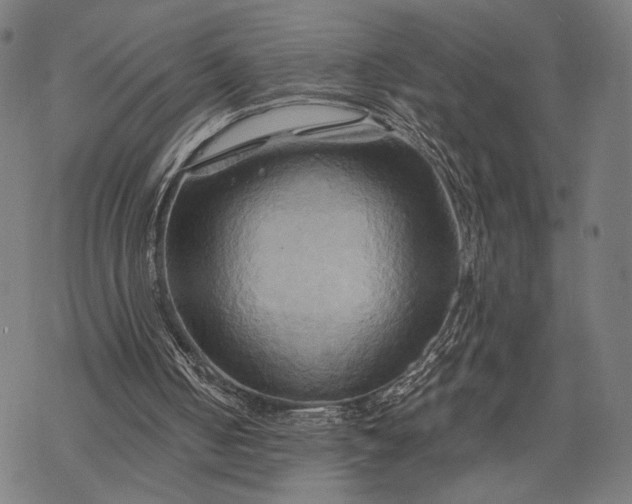 X0000068320050200605051607