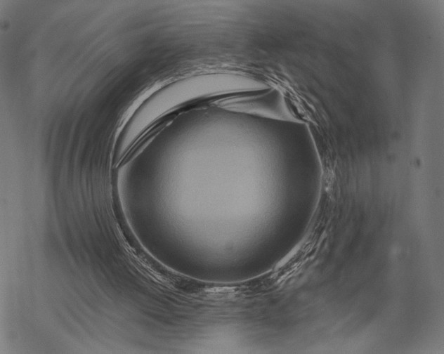 X0000068320052200605051607