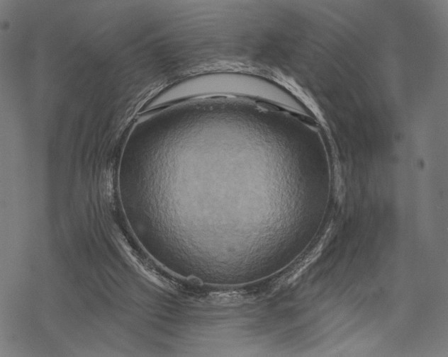 X0000068320057200605051607
