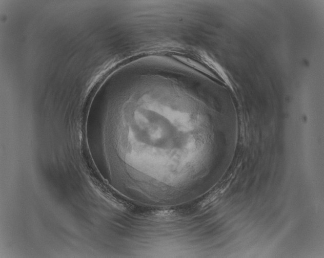 X0000068320059200605051607