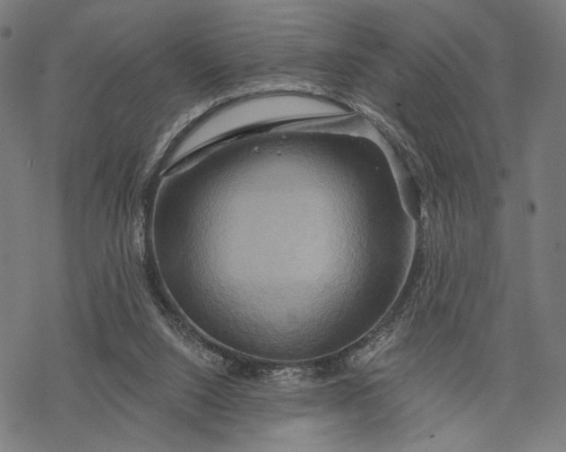 X0000068320064200605051607