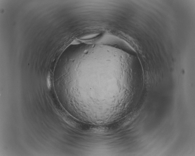 X0000068320069200605051607