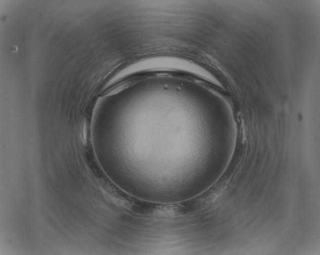 X0000068320076200605051607