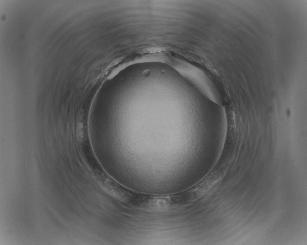 X0000068320080200605051607