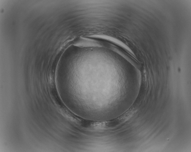 X0000068320084200605051607