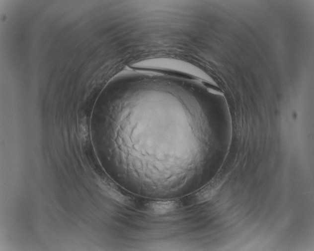 X0000068320085200605051607