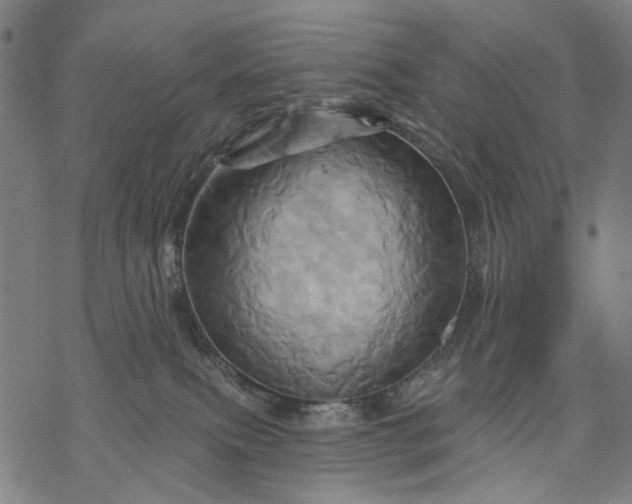 X0000068320087200605051607