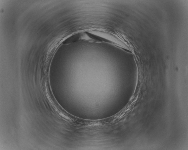 X0000068320097200605051607