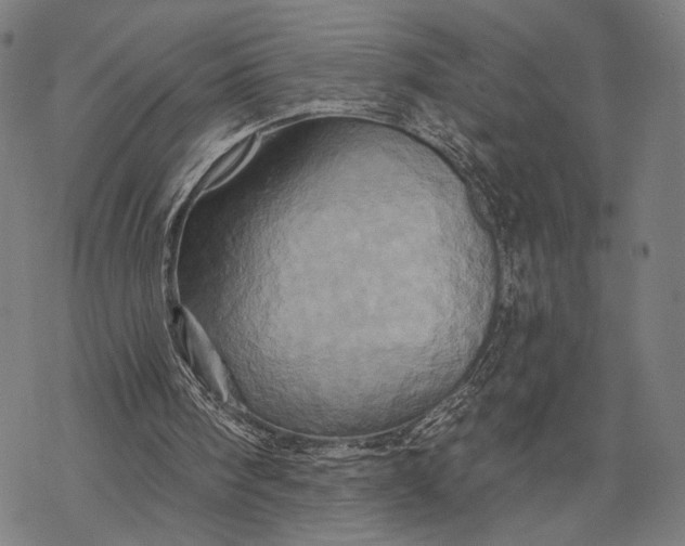 X0000068320098200605051607