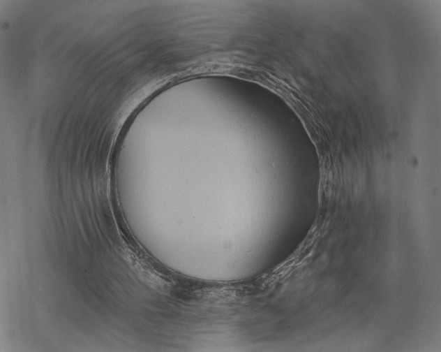 X0000068320100200605051607