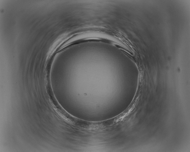 X0000068320101200605051607