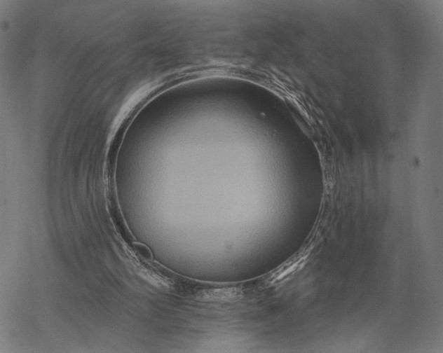 X0000068320102200605051607