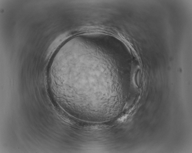 X0000068320103200605051606