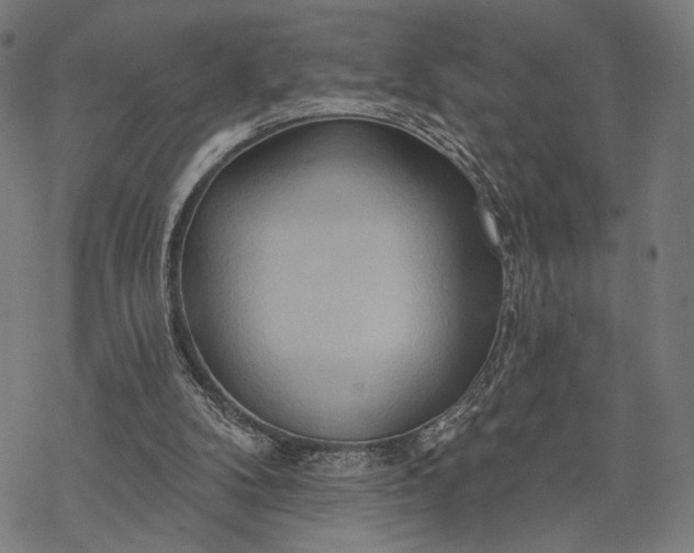 X0000068320104200605051606