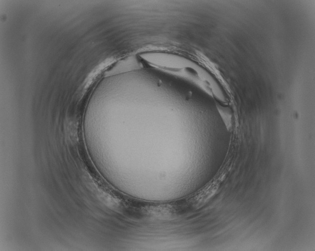 X0000068320106200605051606