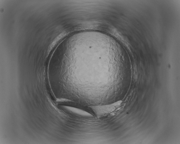 X0000068320107200605051606