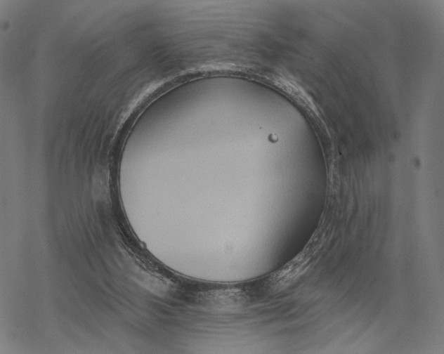 X0000068320108200605051606