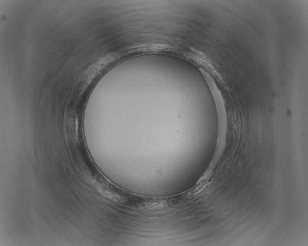 X0000068320110200605051606