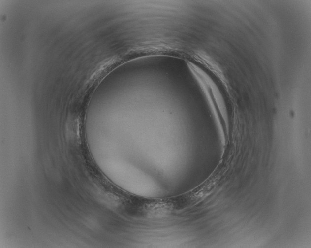 X0000068320115200605051606