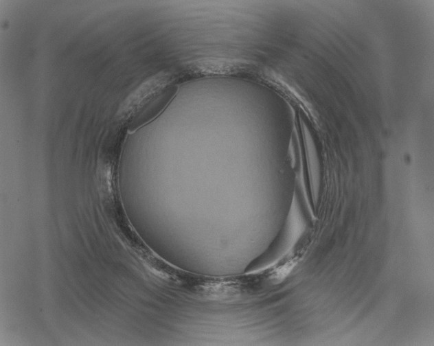 X0000068320117200605051606