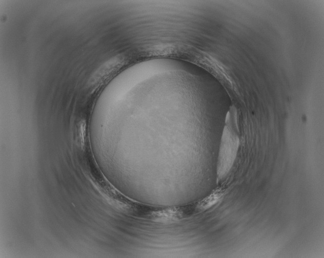 X0000068320118200605051606