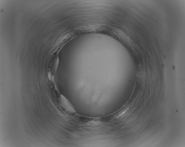X0000068320119200605051606