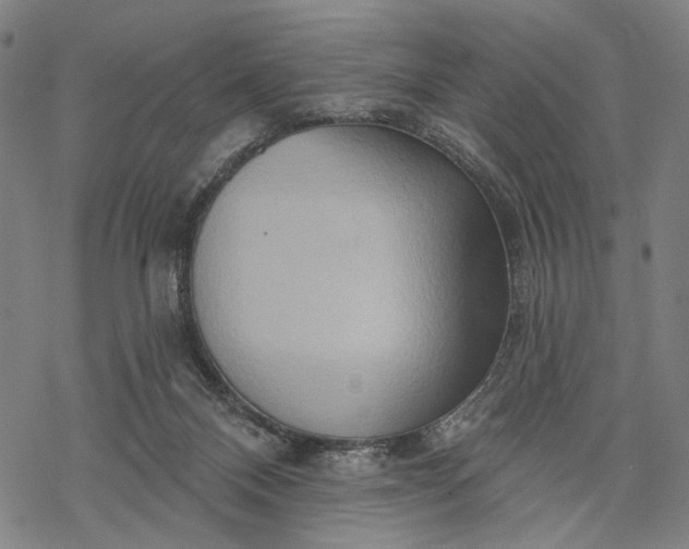 X0000068320120200605051606