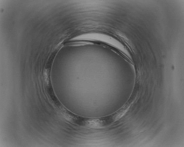 X0000068320121200605051606