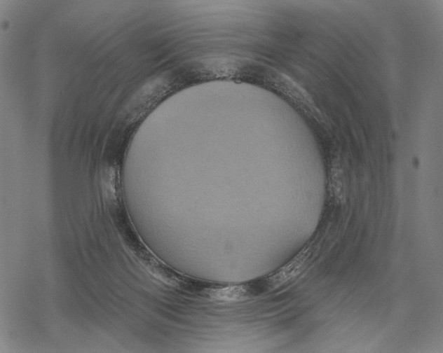 X0000068320122200605051606