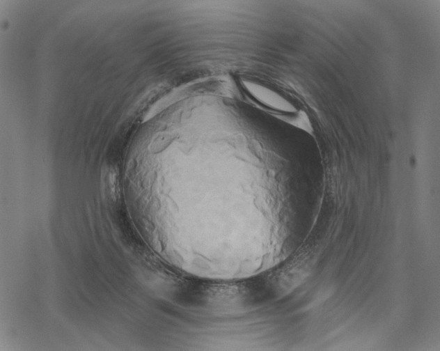 X0000068320123200605051606