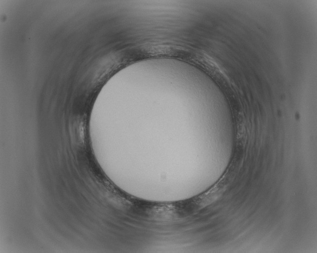 X0000068320124200605051606