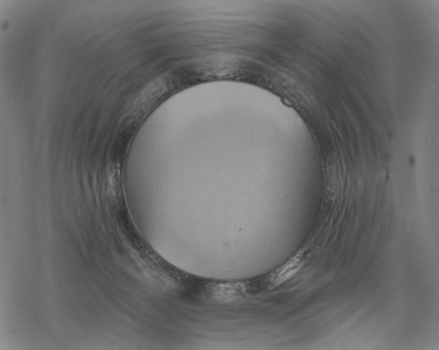 X0000068320126200605051606