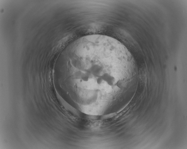 X0000068320127200605051606