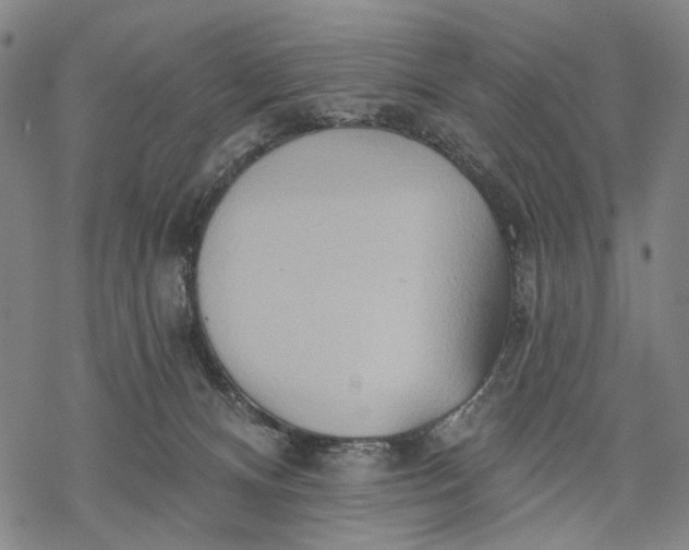 X0000068320128200605051606