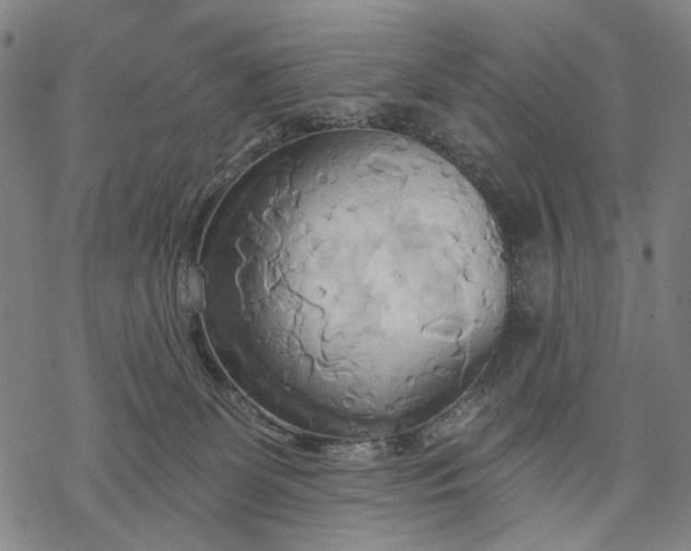 X0000068320131200605051606